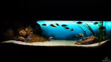 Deep Blue Malawi von Limited