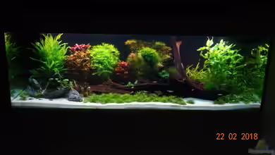 Mystic River von Aqua-Josh
