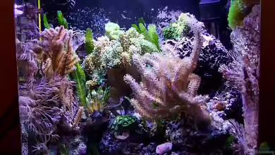Nano-Meer von Denise83