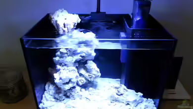 neues Projekt...Nano Reef von Jens Kändler