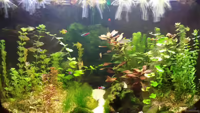Unterwassertal von Ralf.SOS