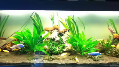 Wohnzimmer von Yejo