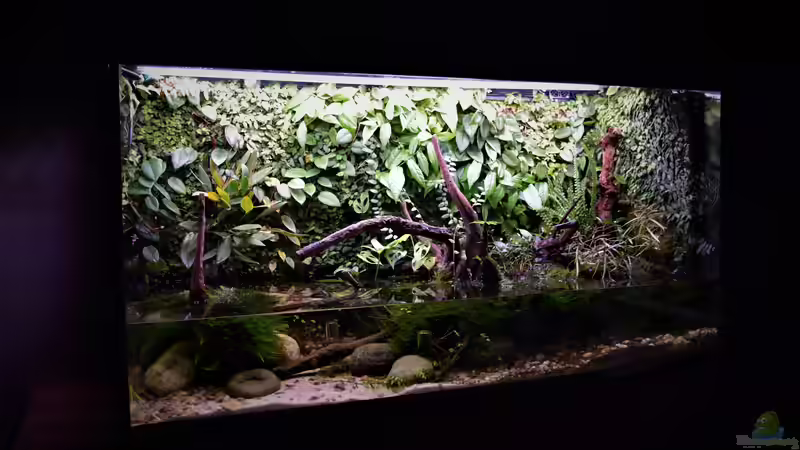 04.01.2020
