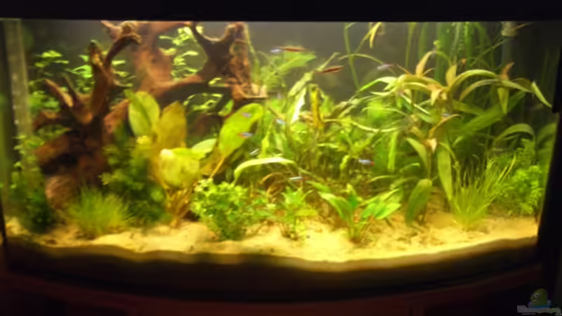 112 L