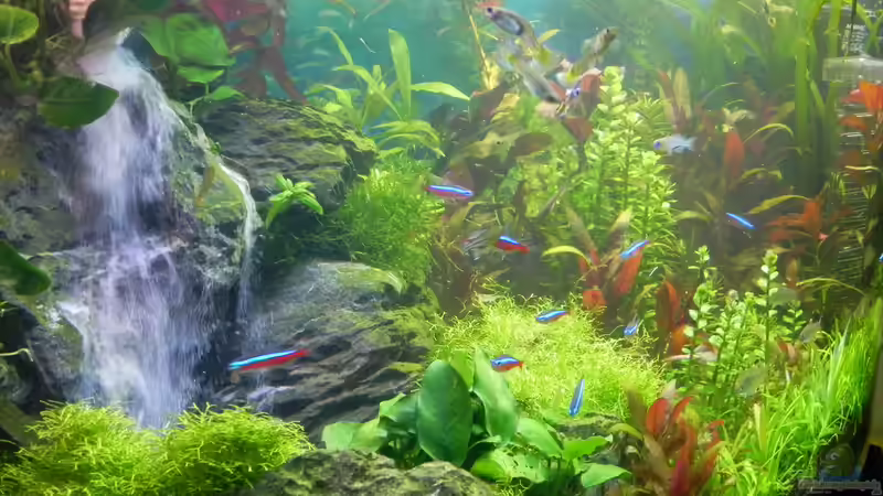 120 L Becken mit Sandwasserfall 