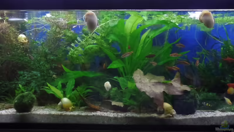 120l in der Küche