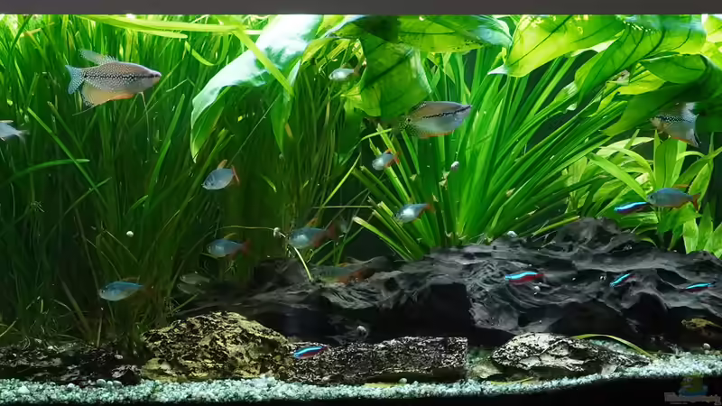 14.10.2023