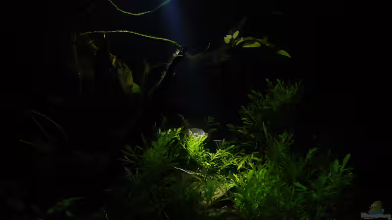 21.02.2015 ~ bei Nacht