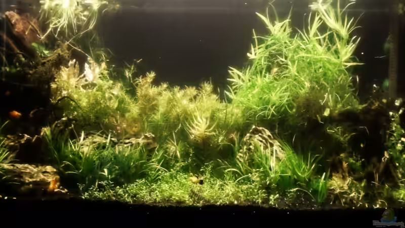 240L