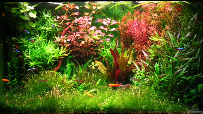 3 Hauptbild