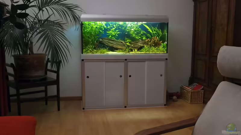 300 Liter Amazonas 8.2009