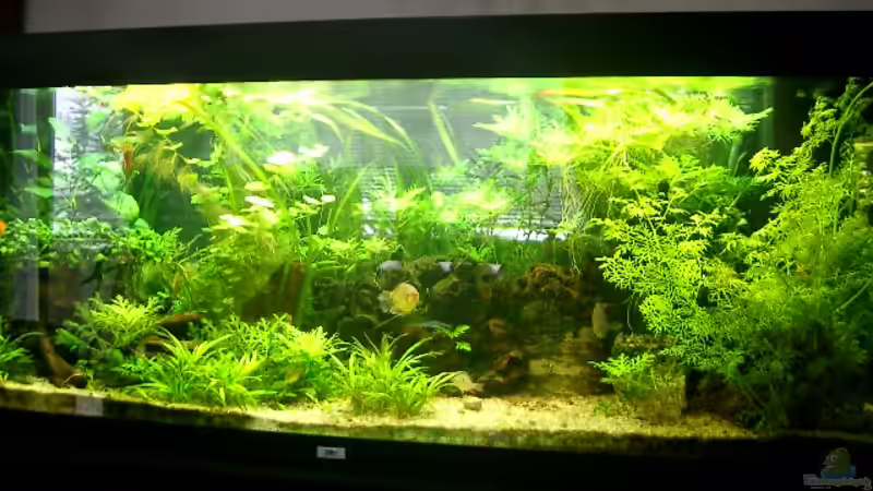 400l