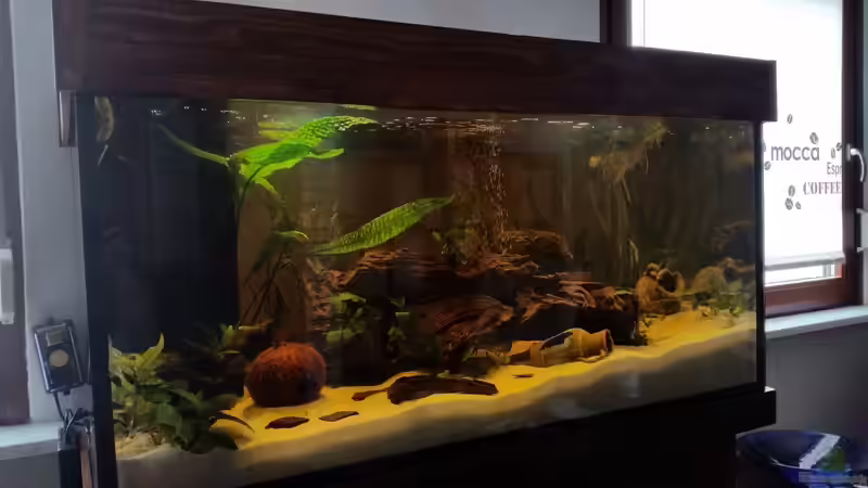 432 Liter Aquarium