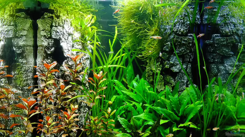 60l Cube