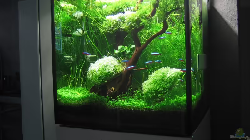 AquaCube