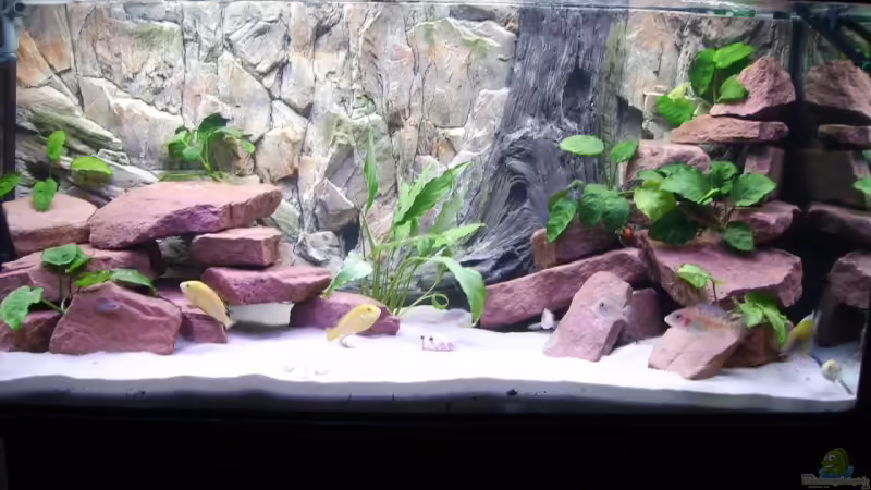 Aquarium 300 Liter