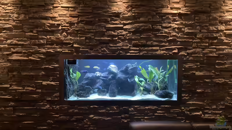 Aquarium Hauptansicht vom Wohnzimmer ( Durchsichtbecken )