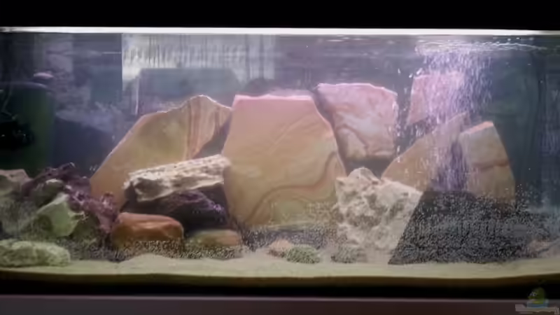 Aquarium Hauptansicht von 160 L Aufzuchts und Quarantänebecken
