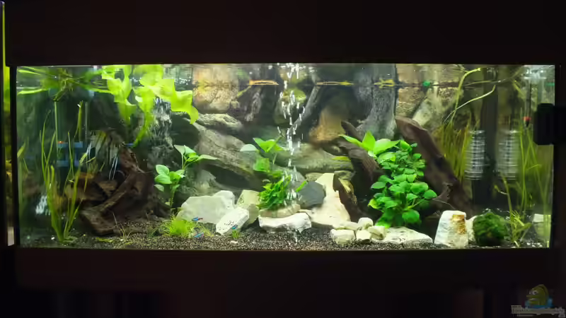 Aquarium Hauptansicht von 160 Liter