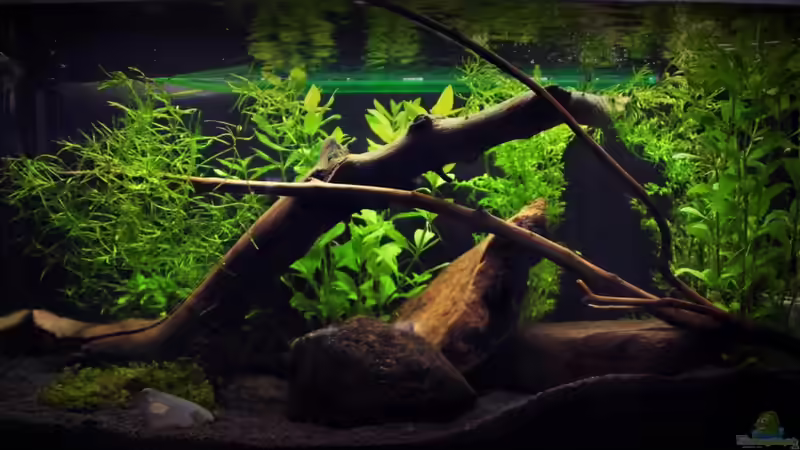 Aquarium Hauptansicht von a view to southeast asia