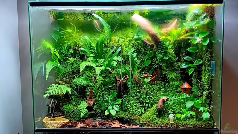 Aquarium Hauptansicht von Amazon