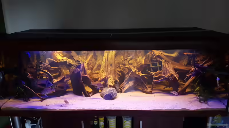 Aquarium Hauptansicht von Amazonas Biotop