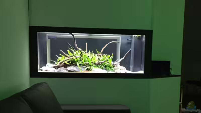 Aquarium Hauptansicht von Aquarium Projekt