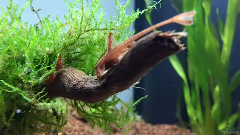 Aquarium Hauptansicht von aquatlantis