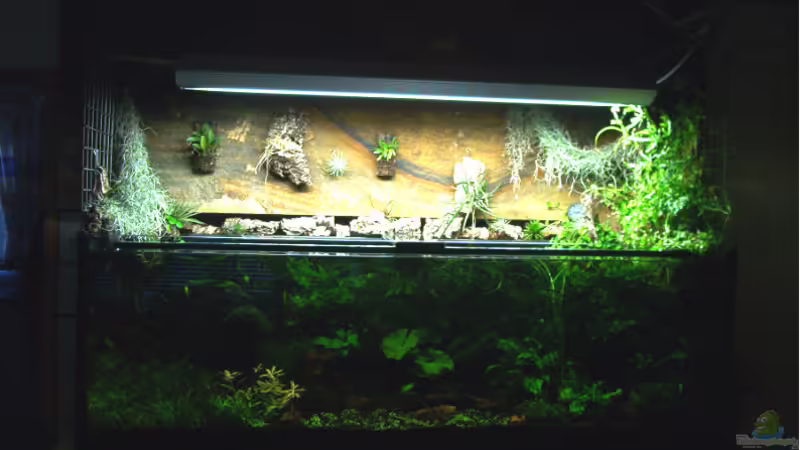 Aquarium Hauptansicht von Becken 1011