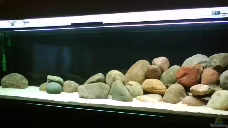 Aquarium Hauptansicht von Becken 10771