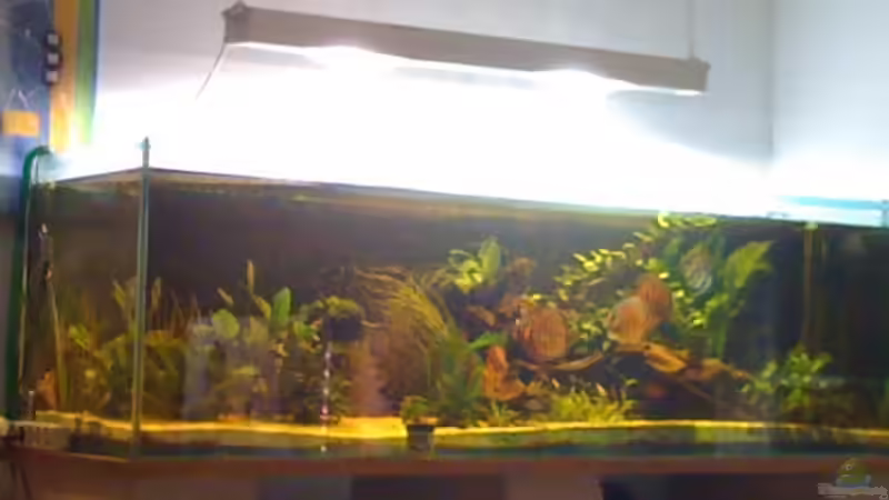 Aquarium Hauptansicht von Becken 11026