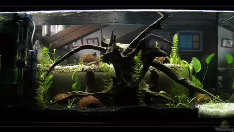 Aquarium Hauptansicht von Becken 11222