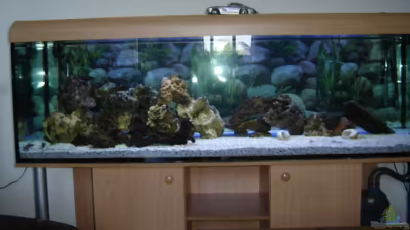 Aquarium Hauptansicht von Becken 1172
