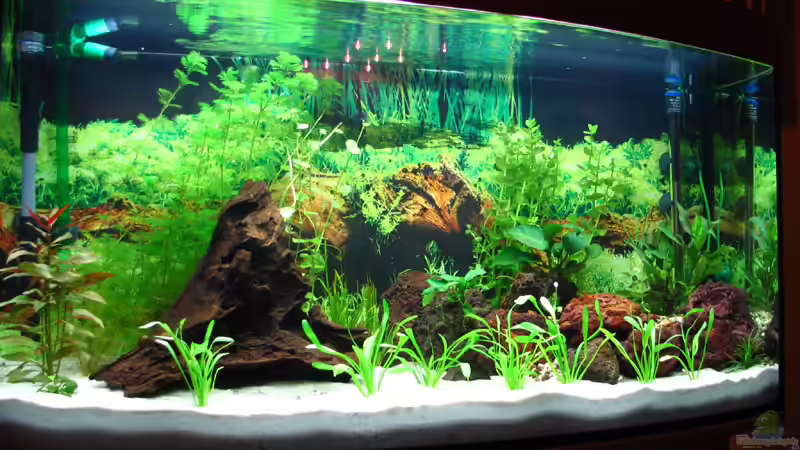 Aquarium Hauptansicht von Becken 1295