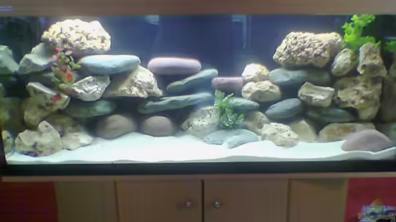 Aquarium Hauptansicht von Becken 1573