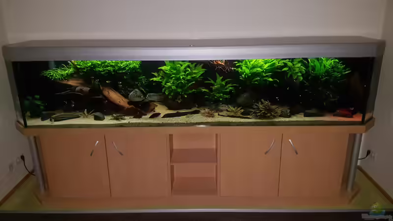Aquarium Hauptansicht von Becken 18144