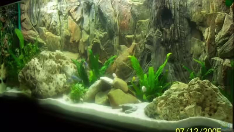 Aquarium Hauptansicht von Becken 1881