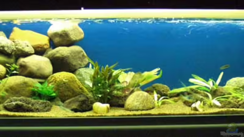 Aquarium Hauptansicht von Becken 2186