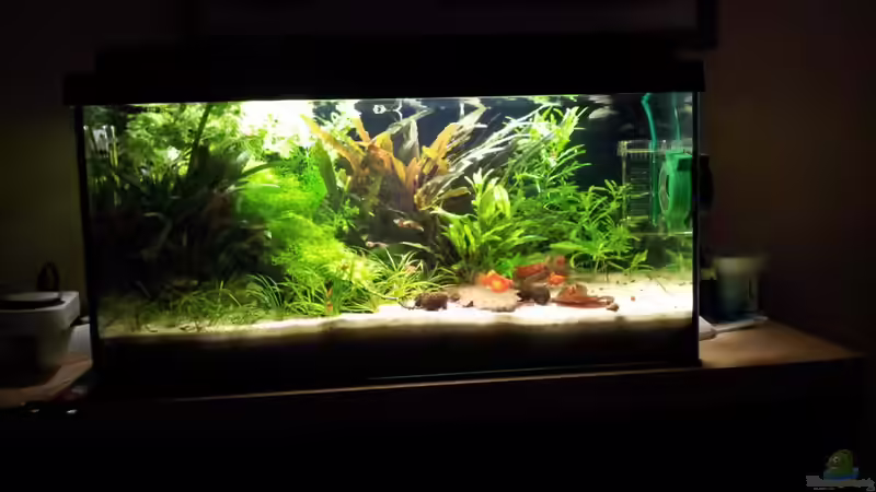 Aquarium Hauptansicht von Becken 22586 (nicht mehr aktuell)