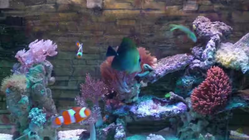 Aquarium Hauptansicht von Becken 2280
