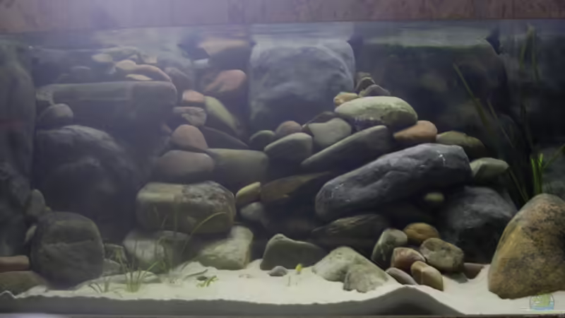 Aquarium Hauptansicht von Becken 2737