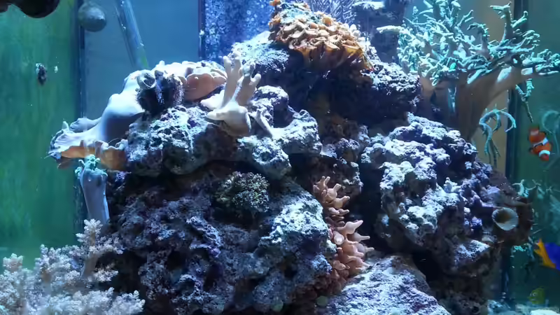 Aquarium Hauptansicht von Becken 27697