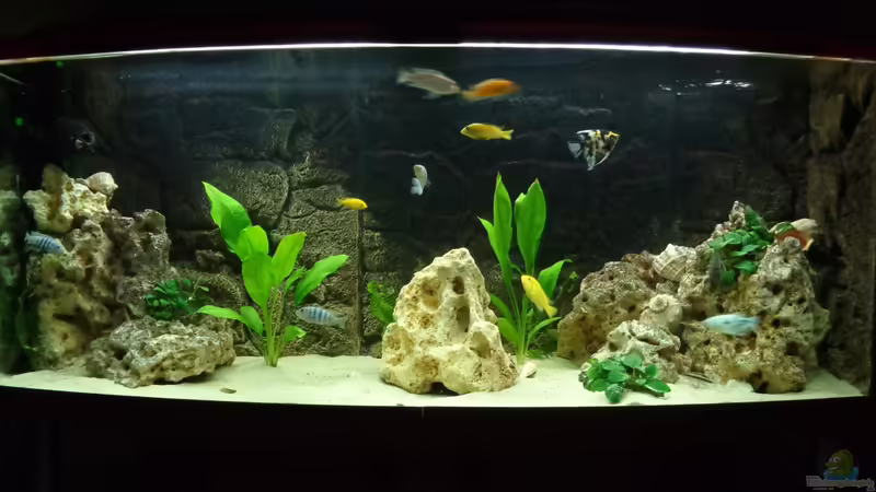 Aquarium Hauptansicht von Becken 27926
