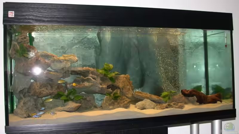 Aquarium Hauptansicht von Becken 3213