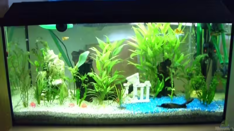 Aquarium Hauptansicht von Becken 3220