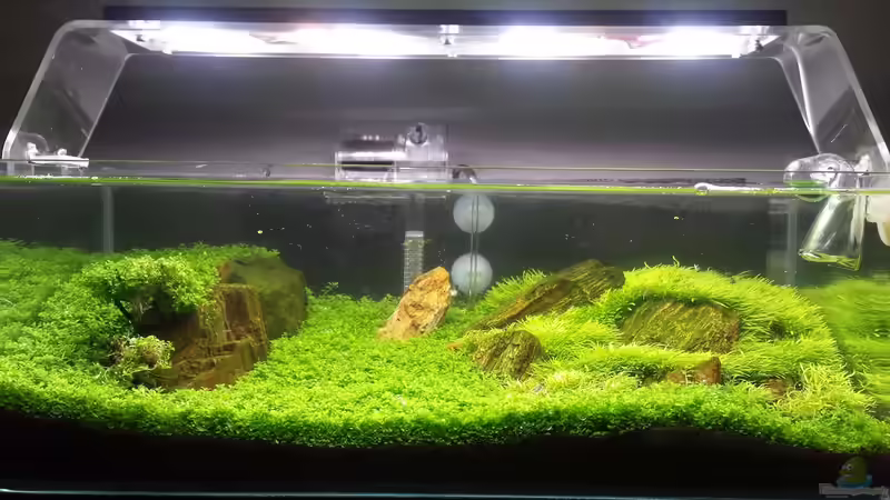 Aquarium Hauptansicht von Becken 32481