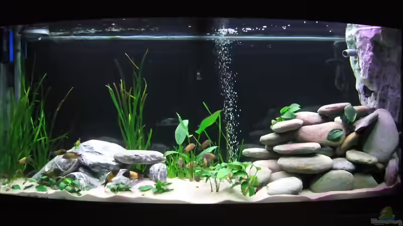 Aquarium Hauptansicht von Becken 3409