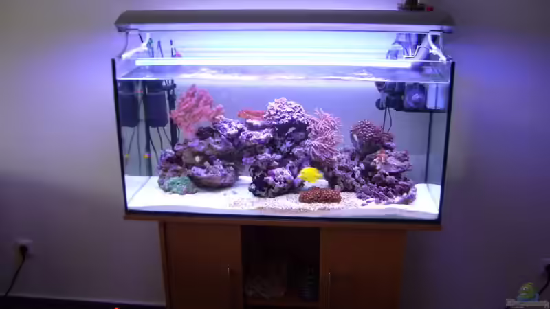 Aquarium Hauptansicht von Becken 3494