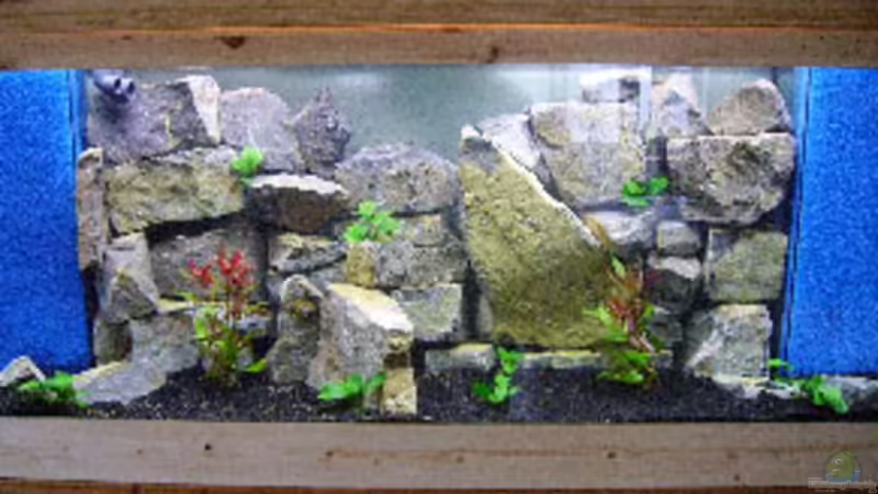 Aquarium Hauptansicht von Becken 3495