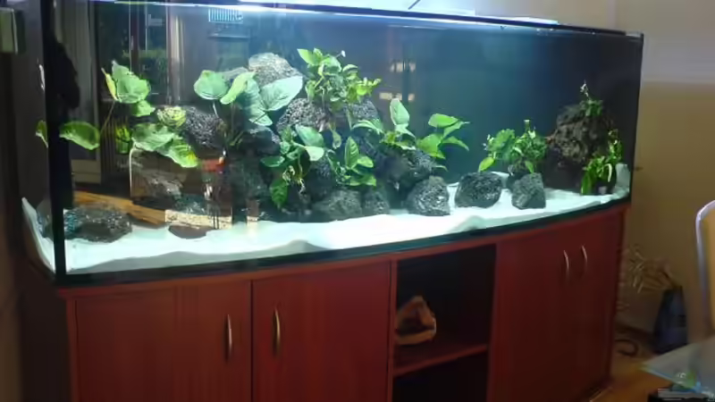 Aquarium Hauptansicht von Becken 4575